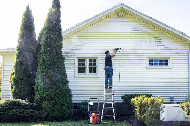 Best Sidewalk and Walkway Cleaning  in Ashland, IL